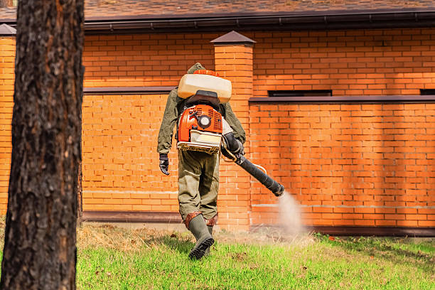 Trusted Ant Control service in Cumberland, IN - Nex Pest Control